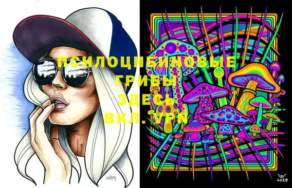 ГАЛЛЮЦИНОГЕННЫЕ ГРИБЫ Армянск